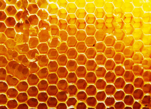 Kinfolk Honey - Honey Comb