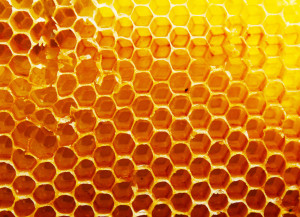 Kinfolk Honey - Honey Comb